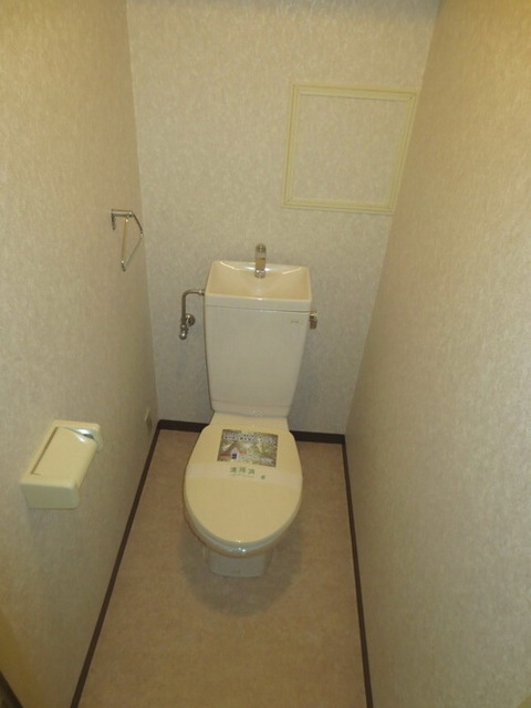 Toilet. It is a toilet with a clean. 