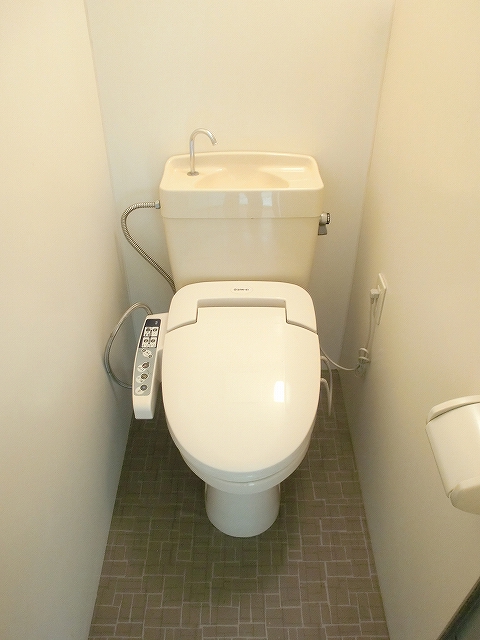 Toilet. Washlet is the service goods.