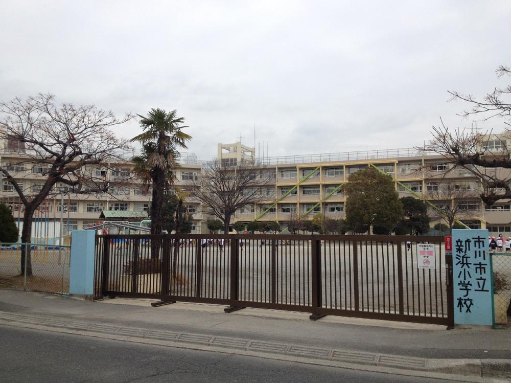 Primary school. Niihama until elementary school 110m