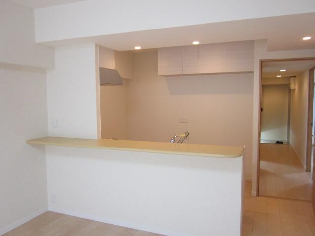 Kitchen. Counter space is also spacious. Installing a hanging cupboard on the back