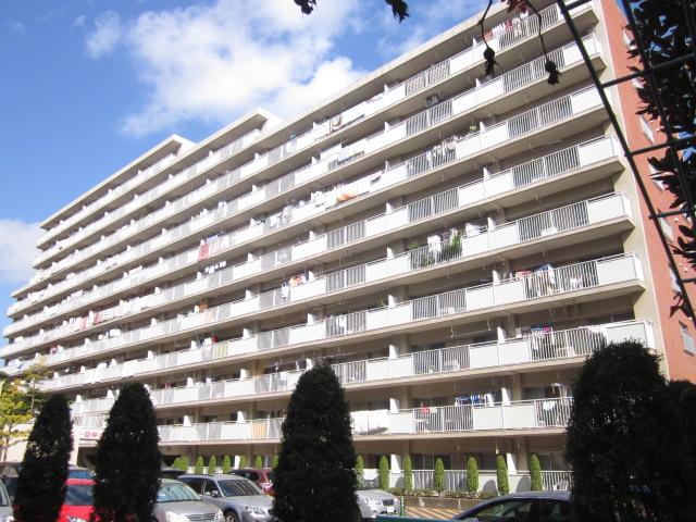 Local appearance photo. Local (10 May 2013) Shooting