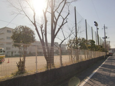 Primary school. 732m to the north elementary school (elementary school)