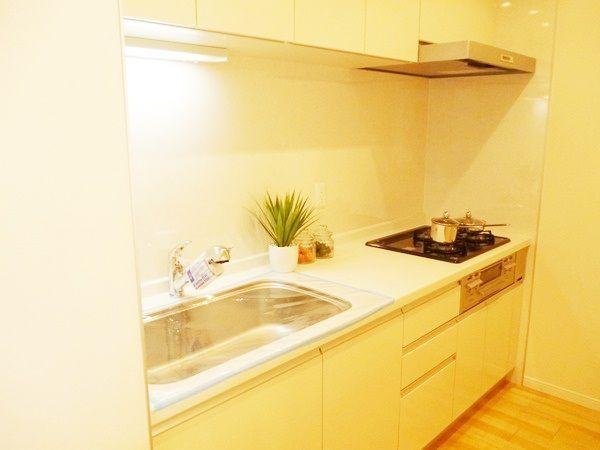 Kitchen. System kitchen