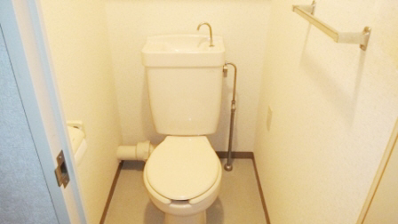 Toilet. Western-style toilet