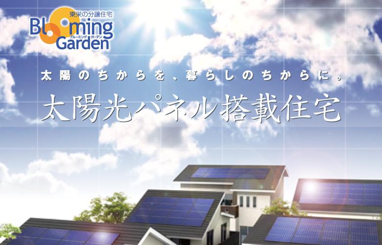 Other. The monthly electric bill, Will cheaply about 4000 yen from the real now.