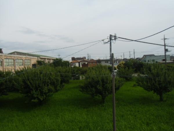 View photos from the dwelling unit