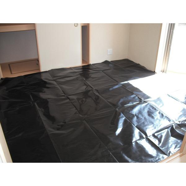 Non-living room. Is a Japanese-style room