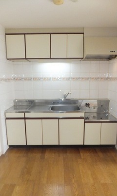 Kitchen. Two-necked gas stove installation Allowed