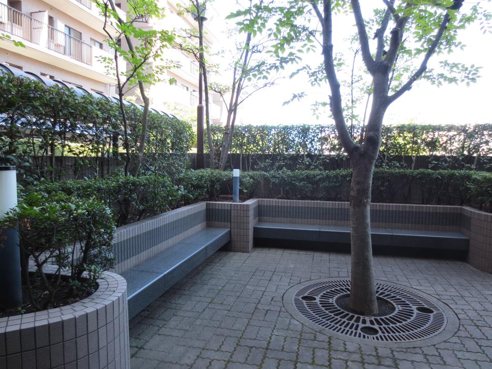 Garden. Local (September 2013) Shooting