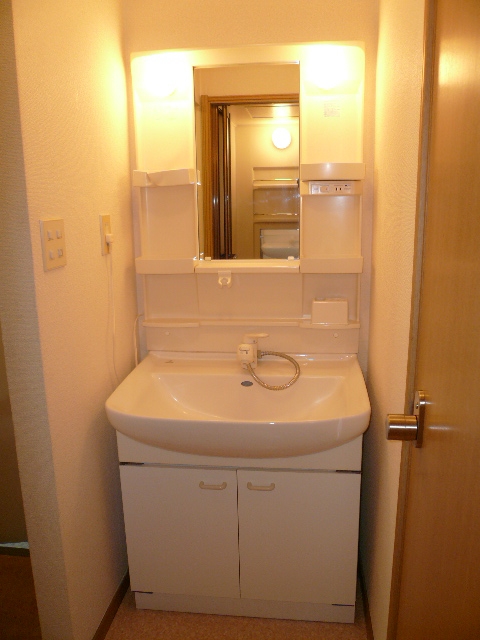 Washroom. Shampoo dresser