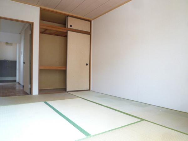 Other room space. Bright Japanese-style room