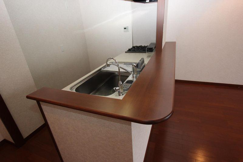 Kitchen. Counter part of the kitchen