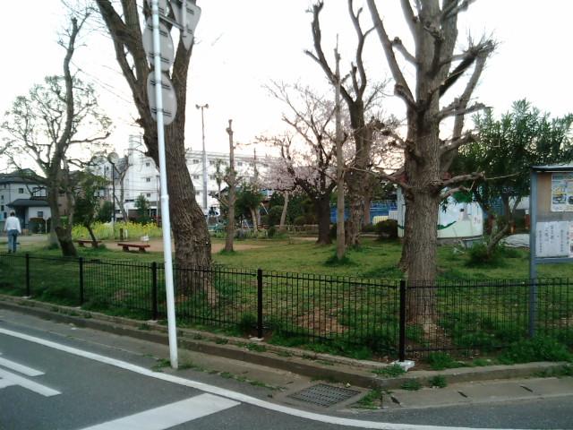 Other Environmental Photo. It is located in your vicinity there is a slow play park for children
