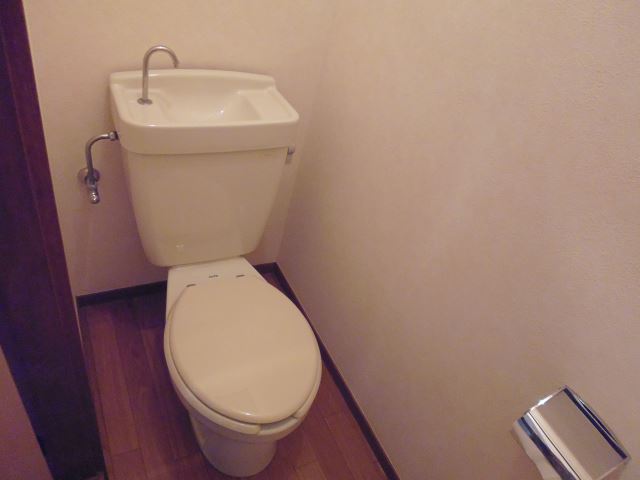 Toilet. Toilet