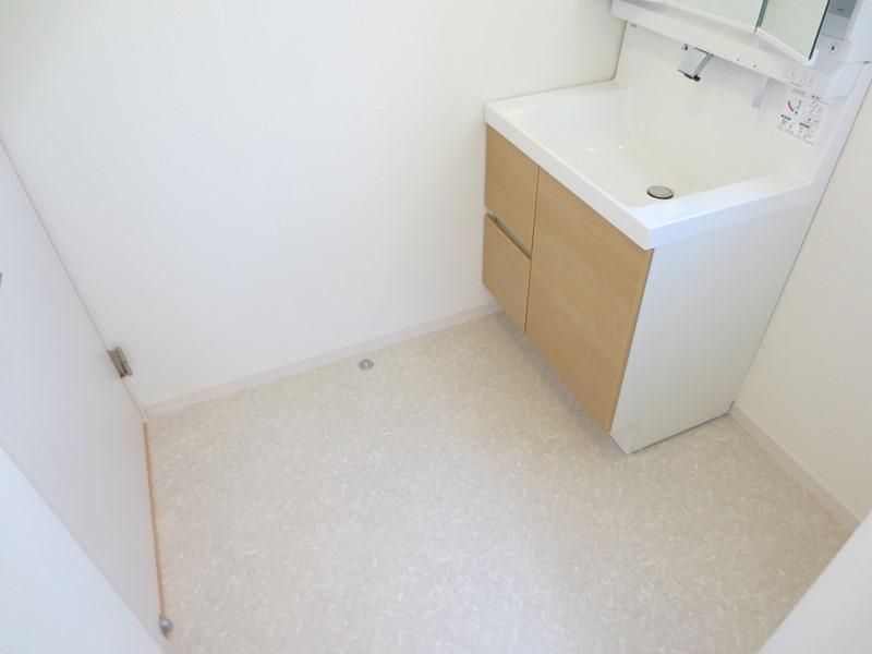 Wash basin, toilet. Spacious wash room