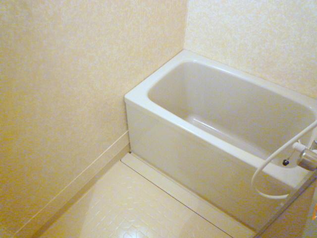 Bath. It is a hot-water supply type of bath.