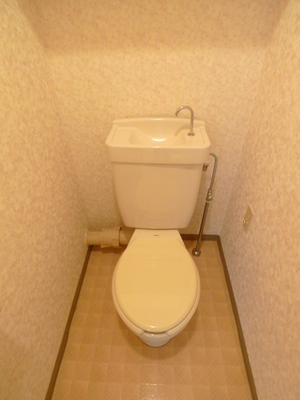 Toilet. Toilet