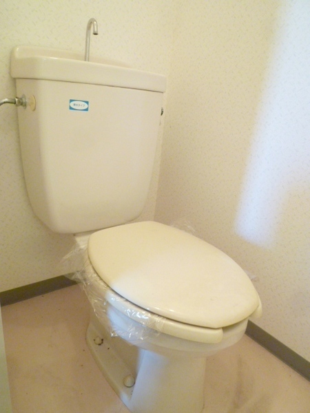 Toilet. Toilet catapult will want to linger