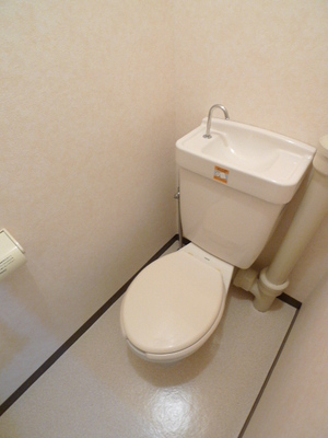 Toilet. Toilet