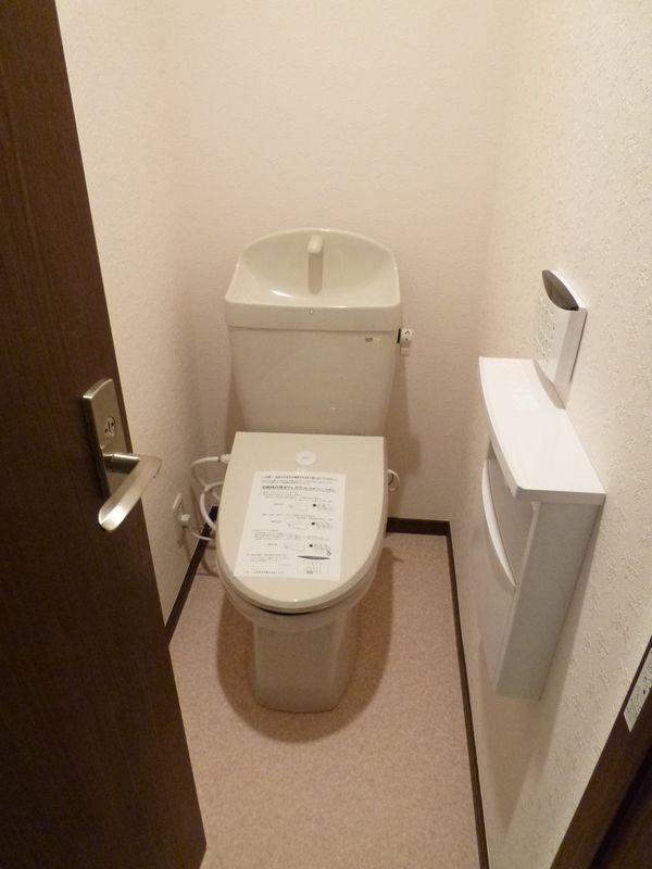 Toilet. Washlet toilet