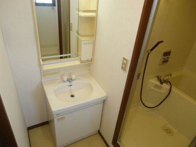 Washroom. Bathroom vanity