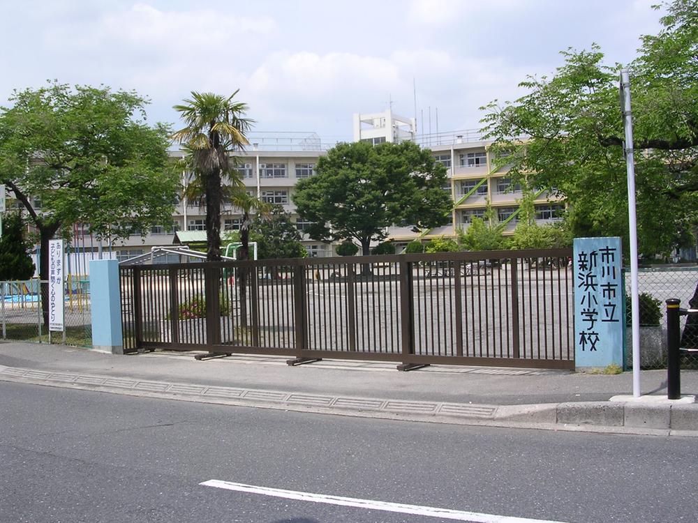 Primary school. 250m until Ichikawa Municipal Minami Elementary School Niihama