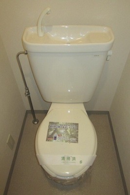 Toilet. Toilet with cleanliness.