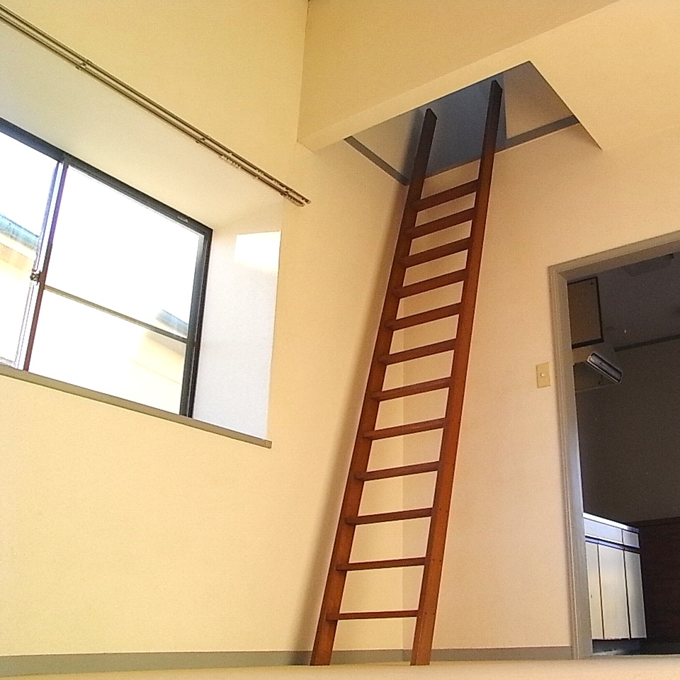 Living and room. Loft ladder and west bay window