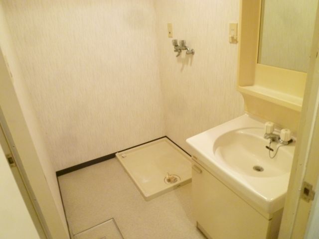 Washroom. Bathroom vanity, Indoor Laundry Storage