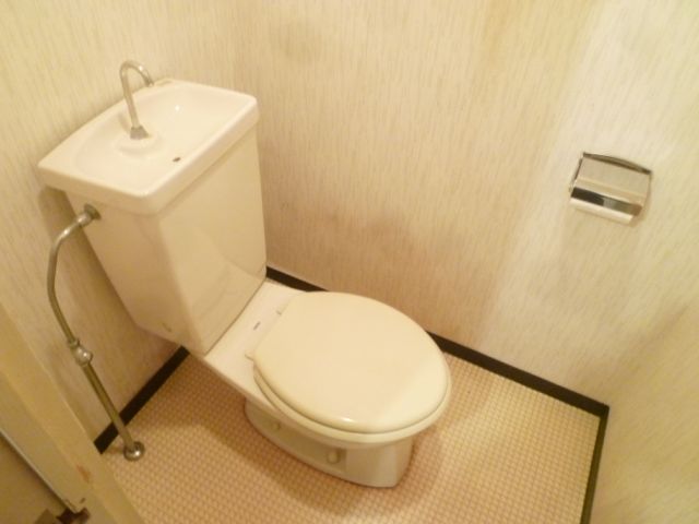 Toilet. Western-style toilet, Yes Power