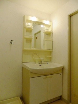 Washroom. Convenient shampoo dresser on the morning of the dressing in a large basin bowl.