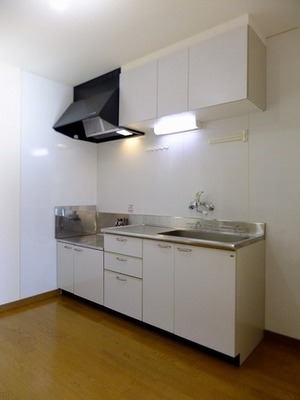 Kitchen. Two-burner gas stove can be installed kitchen