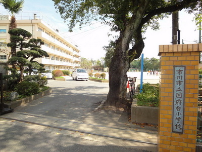 Primary school. Kokufudai up to elementary school (elementary school) 850m