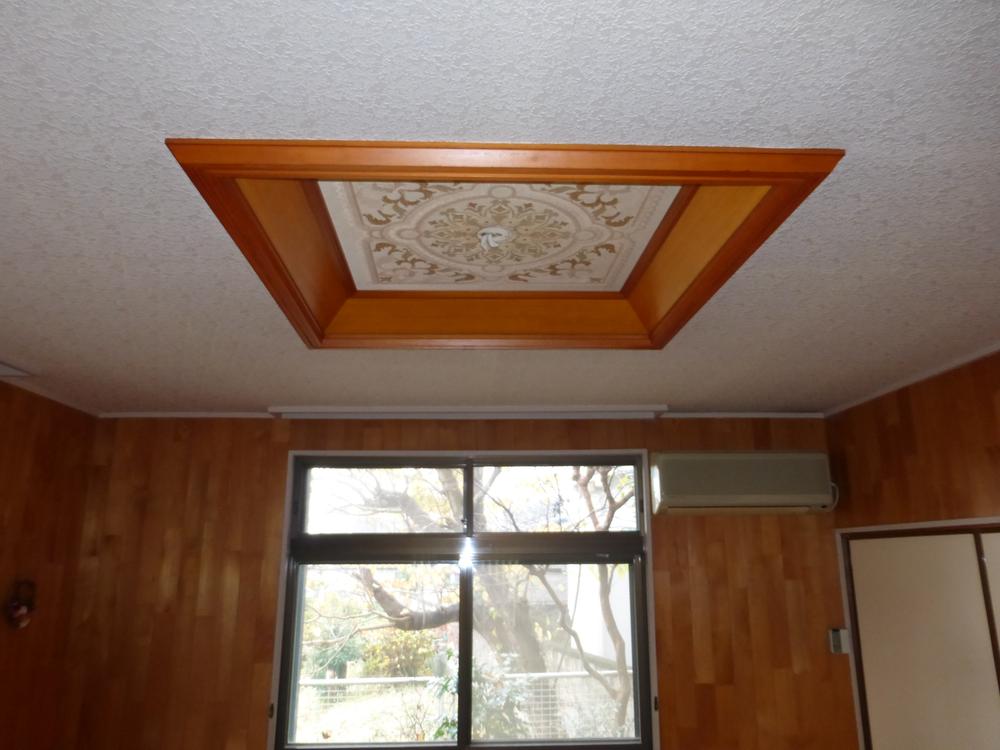 Other introspection. Stylish ceiling
