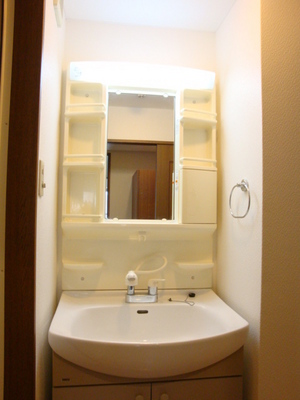 Washroom. Washbasin with shower handle