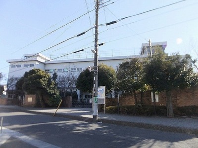 Primary school. 340m until Ichikawa City Minamigyotoku elementary school (elementary school)