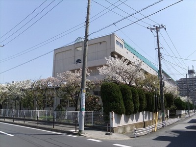 Junior high school. 890m until Ichikawa City Minamigyotoku junior high school (junior high school)