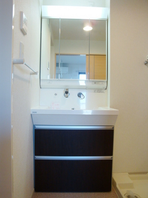 Washroom. Convenient shampoo dresser to get dressed