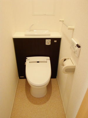 Toilet. Toilet with warm water washing toilet seat.