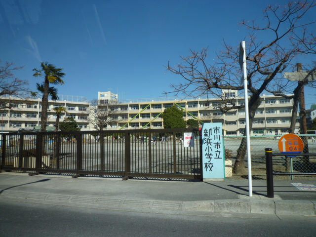 Primary school. 353m until Ichikawa Municipal Niihama elementary school (elementary school)