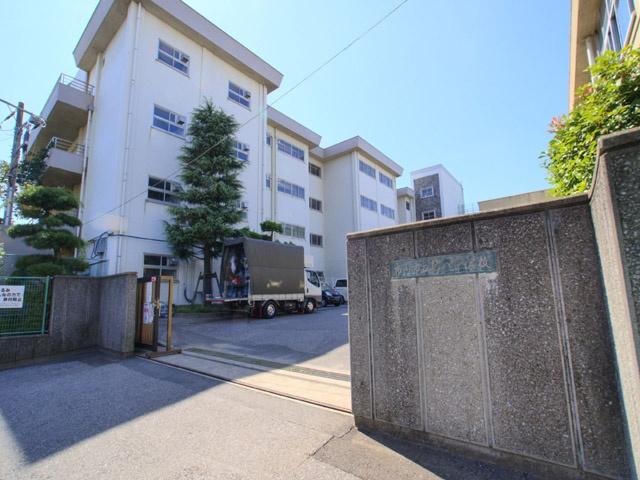 Junior high school. 150m until Ichikawa Municipal eighth Junior High School