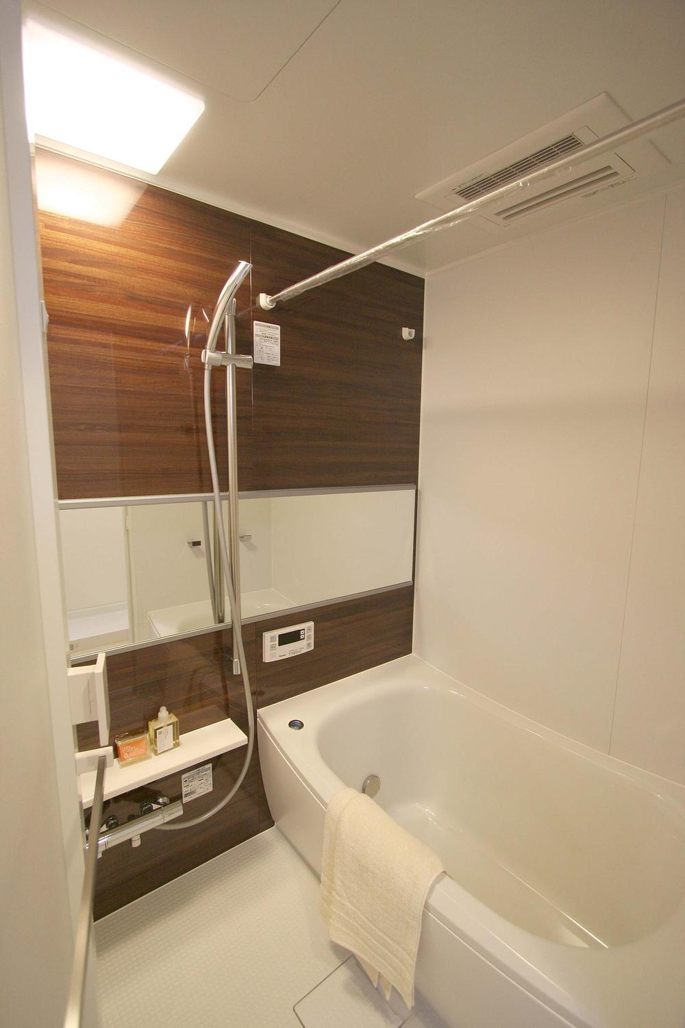 Wash basin, toilet. Indoor (11 May 2013) Shooting