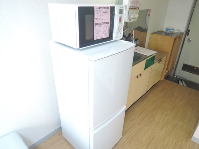 Kitchen. microwave Fridge