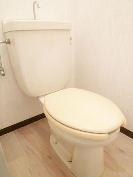 Toilet. Toilet to settle