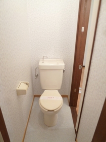 Toilet. Toilet with cleanliness! 