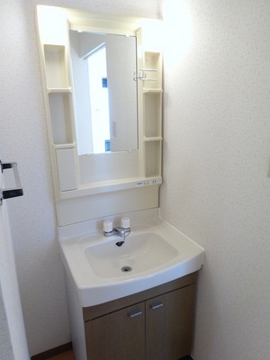 Washroom. Separate vanity that can hold small items