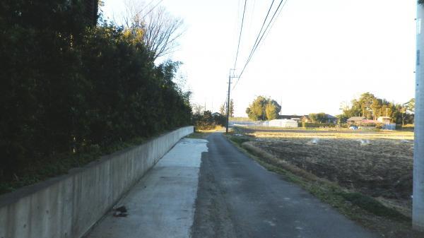 Local photos, including front road