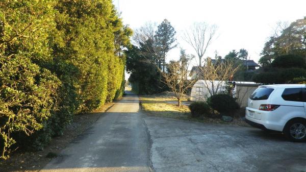 Local photos, including front road