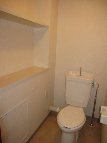 Toilet. Toilet (interior ago)