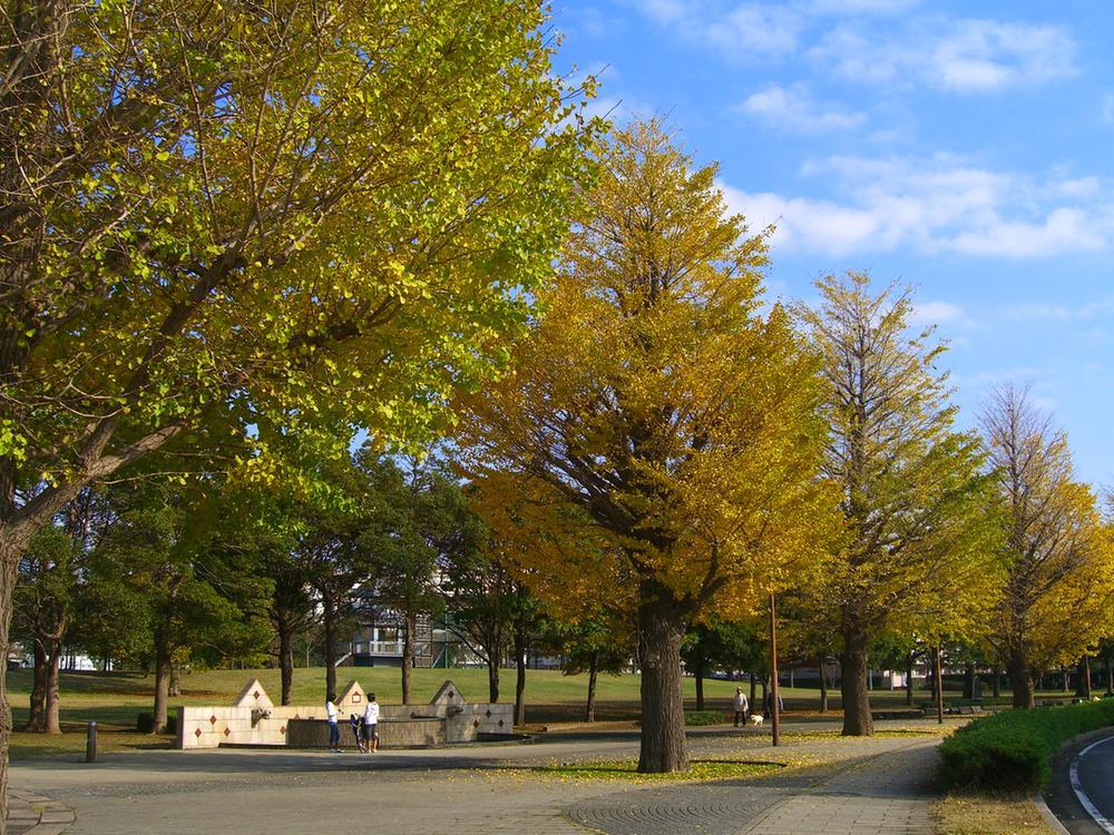 park. It is Nishinohara parks and tree-lined street on the property north. It is worth a look. Walk is pleasant scenery.